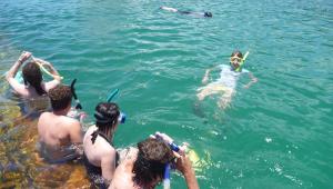 Snorkel Tangalooma Wrecks Moreton Island